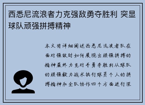 西悉尼流浪者力克强敌勇夺胜利 突显球队顽强拼搏精神