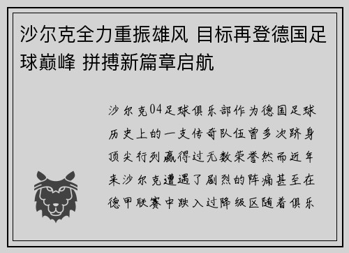 沙尔克全力重振雄风 目标再登德国足球巅峰 拼搏新篇章启航