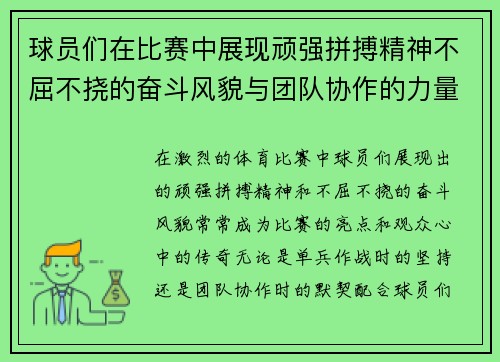 球员们在比赛中展现顽强拼搏精神不屈不挠的奋斗风貌与团队协作的力量